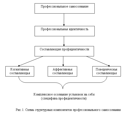 Рис.1. Схема структурных компонентов профессионального самосознания